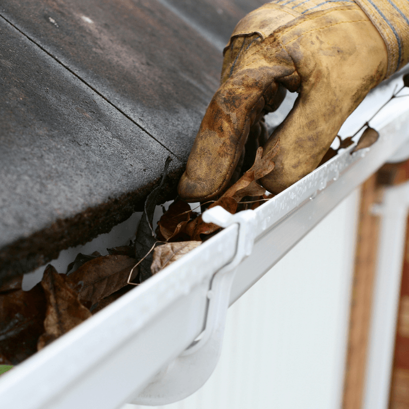 Preparing for a bush fire by removing the debris from the roof  and gutter